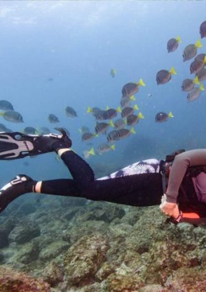 Snorkeling Lessons