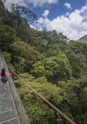 Hanging Bridges/Cloud Forest