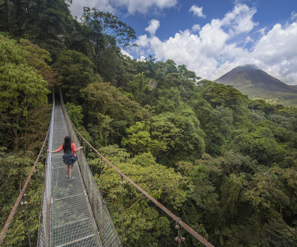 Hanging Bridges/Cloud Forest - Best adventure destinations in Costa Rica