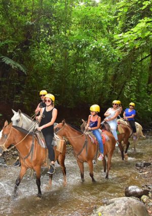 Horseback Riding