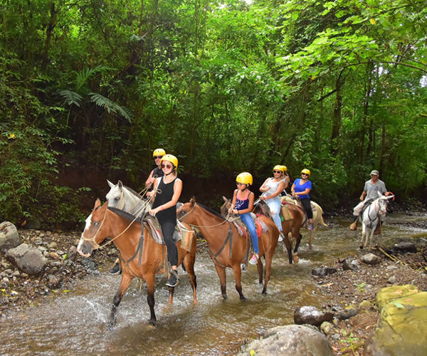 Horseback Riding Tour